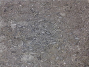 Fossil Gray Limestone Slabs- Pakistani Stone Fossil Gray Limestone Slabs- Pakistani Stone
