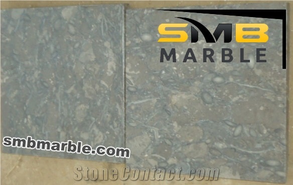 Fossil Gray Limestone Slabs- Pakistani Stone