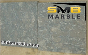 Fossil Gray Limestone Slabs- Pakistani Stone