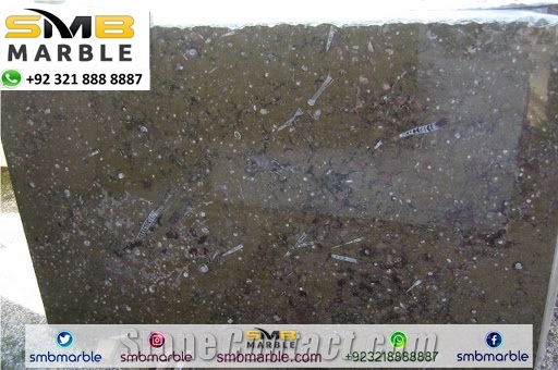 Fossil Marble