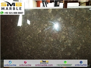 Fossil Marble