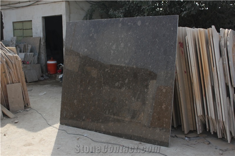 Marble Fossil Brown Slabs & Tiles, Pakistan