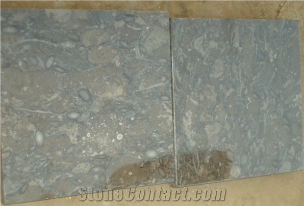 Oceanic Gray Limestone Slabs for Flooring