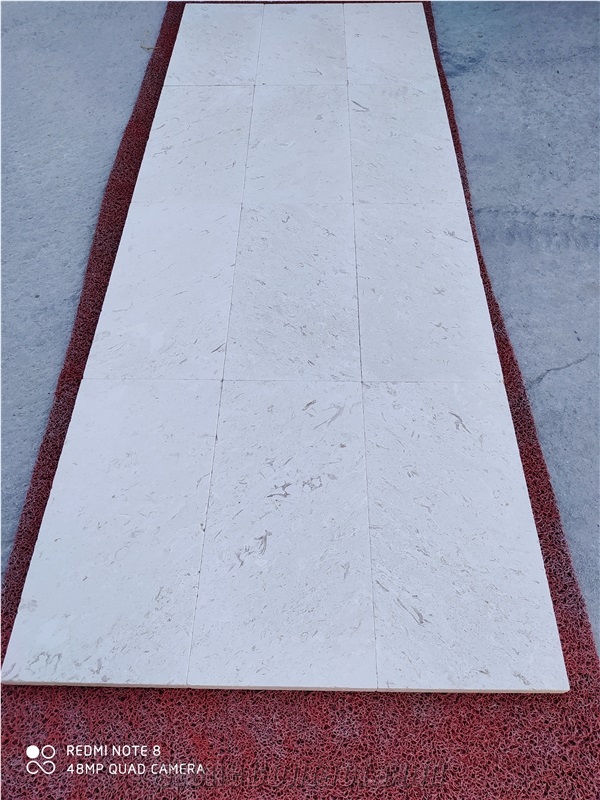 Shellstone Limestone Tiles