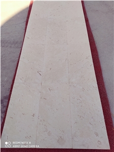 Shellstone Limestone Tiles