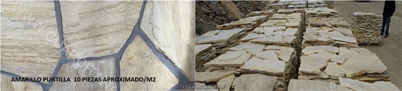 Amarillo Puntilla Flagstone Walling, Flagstone Patio
