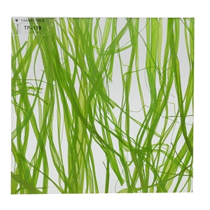 Customized Different Thickness Acrylic Sheet