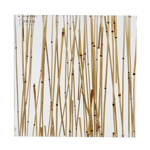 Wholesale 4ft X 8ft Petg Sheet Cast Acrylic Sheet