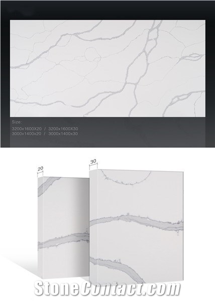 Calacatta Novo Quartz Slabs