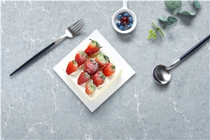 Ceasarstone Grey Solid Surface Slabs Quartz Stone