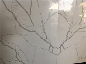 Goldtop Calacatta White Countertop for Kitchen