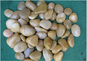 Cheap River Pebble Stone from China Factory