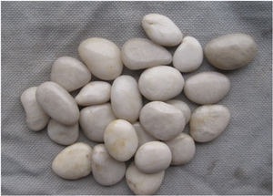 Cheap River Pebble Stone from China Factory