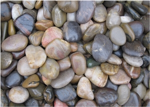 Mixed Colour Pebblestone for Landscaping Mixed Colour Pebblestone for Landscaping