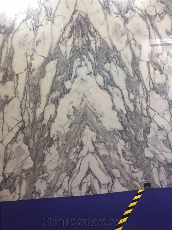 Arabescato Austral Marble,Australia White Marble Blocks