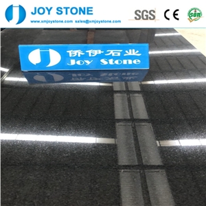 Low Price Mozambique Black Factory Sell Small Slab