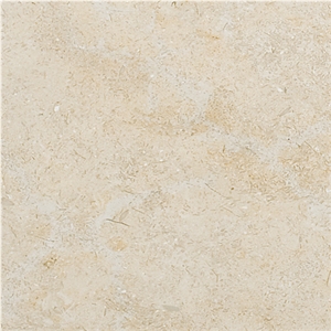 Seashell Limestone Tiles & Slabs, Beige Limestone