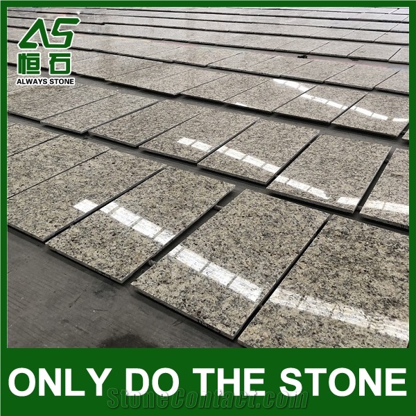 New Venetian Gold Granite Factory with Good Price