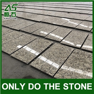 New Venetian Gold Granite Factory with Good Price