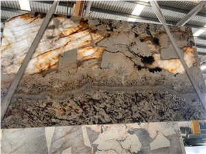 Patagonia Exotic Transmitting Gold Brown Quartzite