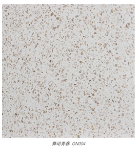 Beige Terrazzo Flooring Installation Tiles