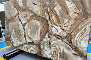 Brizal Yellow Luxury Quartzite Stone Palomino Stone