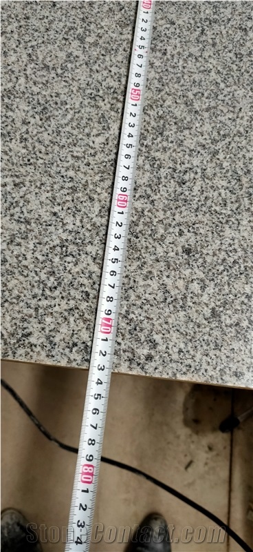 Cheap Hb G603 Padang White Granite Slabs