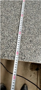 Cheap Hb G603 Padang White Granite Slabs
