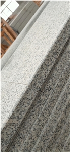 Honed Granite Swimming Pool Coping Cover