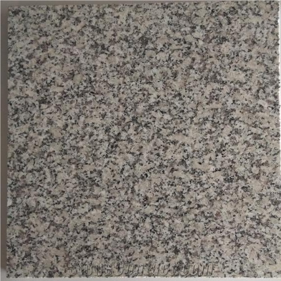 Polished Hubei Bianco Sardo New G602 Granite