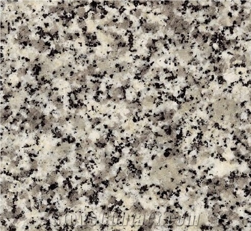 Blanco Perla Granite Slab