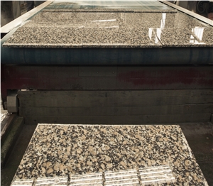 Gris Mondariz/Crema Julia Granite Tiles & Slabs