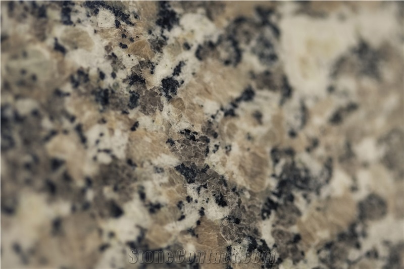 Gris Mondariz/Crema Julia Granite Tiles & Slabs