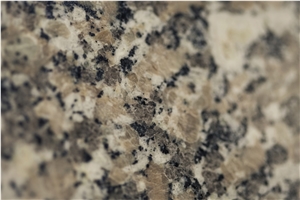Gris Mondariz/Crema Julia Granite Tiles & Slabs