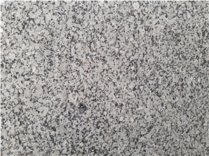 Gris Perla Granite Slabs