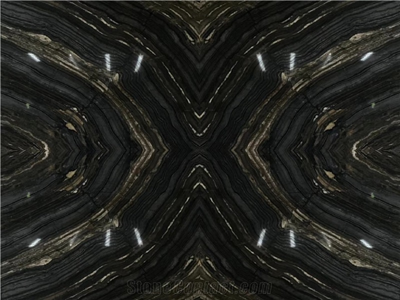 Black Wooden Marble Bookmatch with Golden Veins