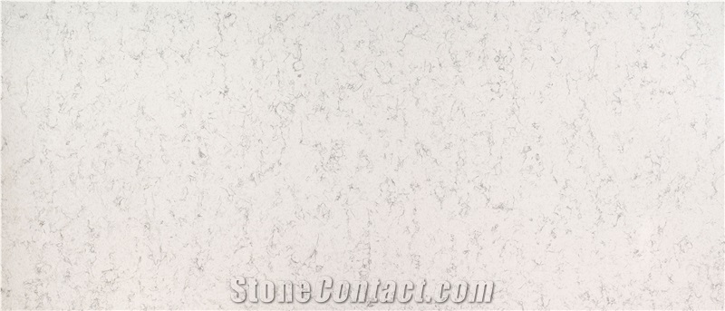 Carrara Blanca Quartz Stone Slab - Zd 8120