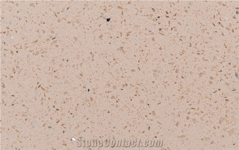 Monochrome Quartz Stone Countertop