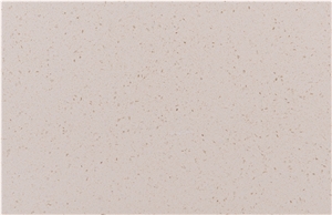 Monochrome Quartz Stone Countertop