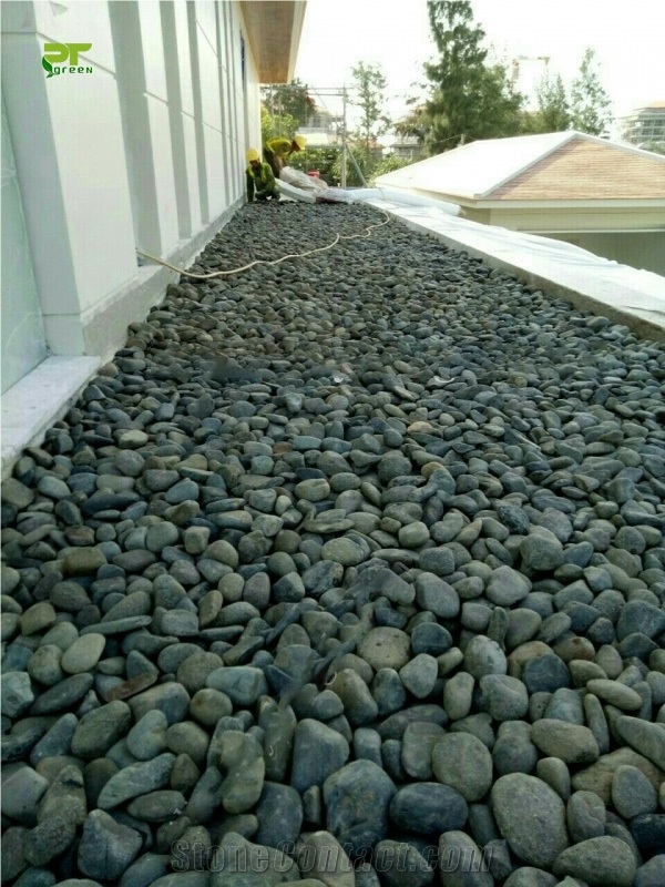 Black Decorative Pebble
