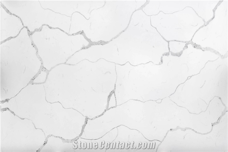 Mdt Calacatta Quartz