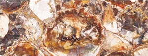 Petrified Wood Semiprecious Stone Gemstone