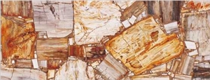 Petrified Wood Stripe Texture Semiprecious Stone Gemstone