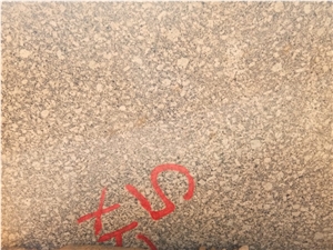 Gold/Beige Colour Granite Blocks