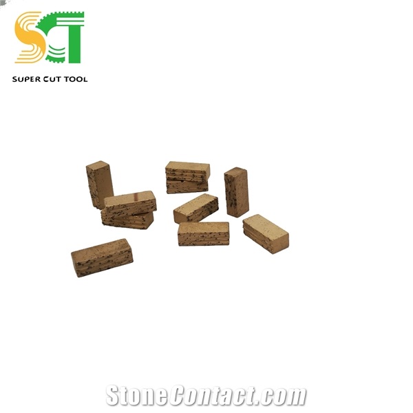 Blade Cutter Head and Diamond Segment