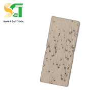 Cutter Blade Handle and Diamond Segment