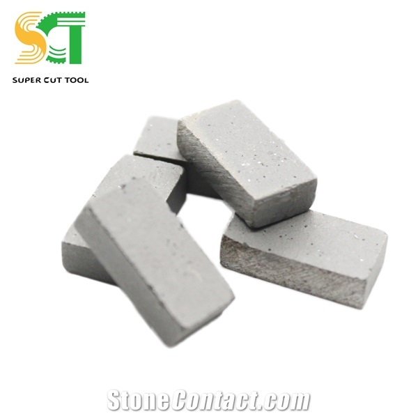 Electric Chain Saw Cutter and Diamond Segment