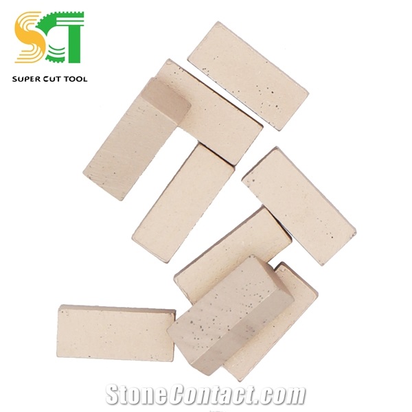 Electric Chain Saw Cutter and Diamond Segment
