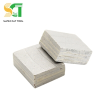 Saw Cutter Metal and Diamond Segment