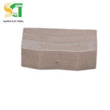 Single Blade Cutter and Diamond Segment